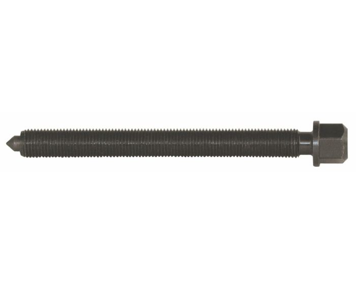 Spindel-10-x-120-mm