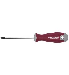 Schroevendraaier-Torx-T30