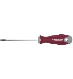 Schroevendraaier-Torx-T10