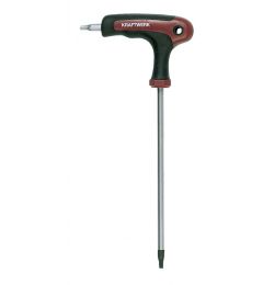 Schroevendraaier-Torx-T-handgreep-T10