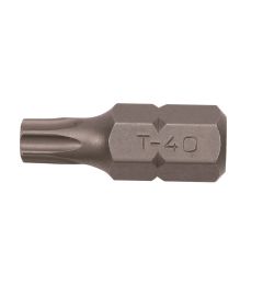 Bit-Torx-10-mm-T-20